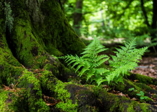 Fotokurse Naturfotografie